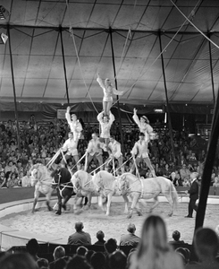 882792 Afbeelding van een paardentrapezenummer van Circus Krone in de circustent langs de Weg der Verenigde Naties te ...